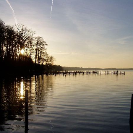 Ferienwohnungen Am Werbellinsee 쇼어파이드 외부 사진