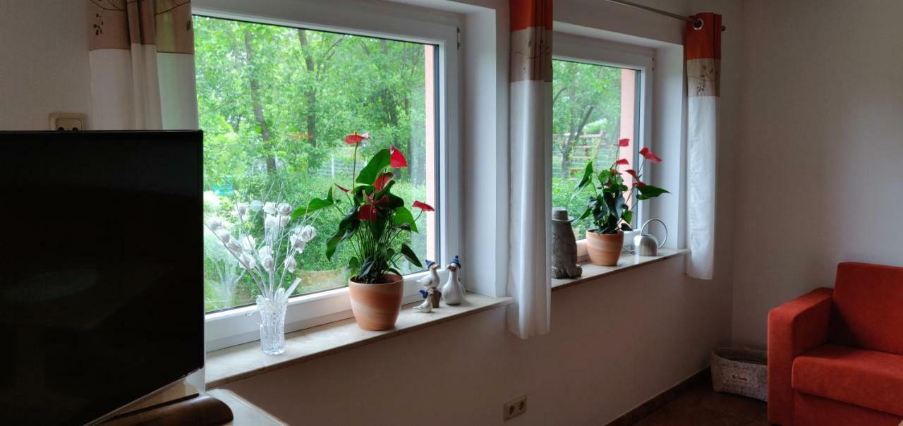 Ferienwohnungen Am Werbellinsee 쇼어파이드 외부 사진